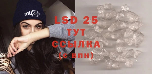 молекула духа Богородицк