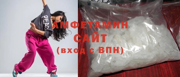 молекула духа Богородицк