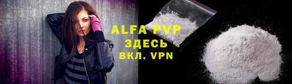 гидра Богданович