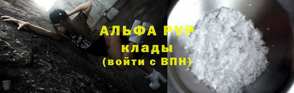 молекула духа Богородицк