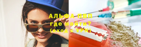 гидра Богданович