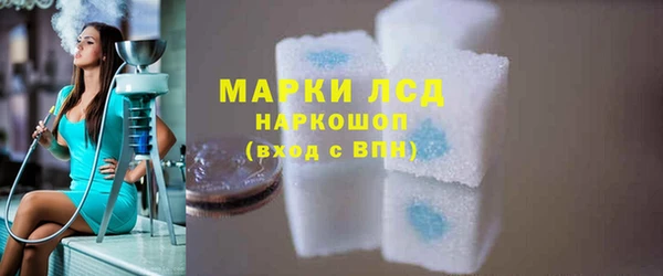 гидра Богданович