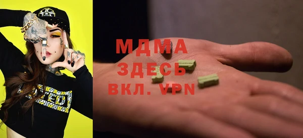 молекула духа Богородицк