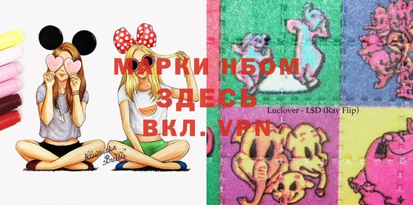 молекула духа Богородицк