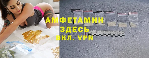 гидра Богданович