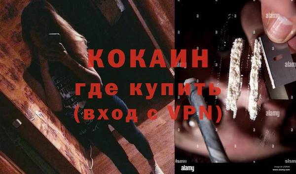 молекула духа Богородицк