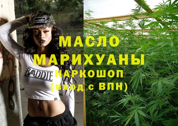 молекула духа Богородицк
