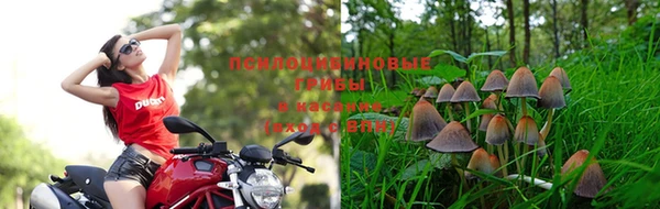СК Белокуриха