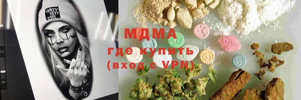 молекула духа Богородицк