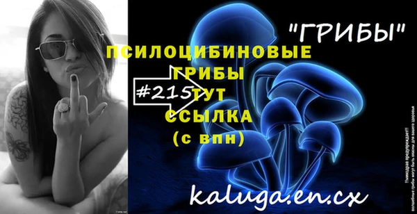молекула духа Богородицк