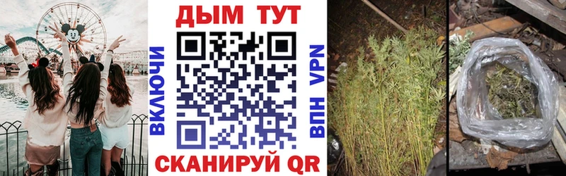blacksprut рабочий сайт  где найти наркотики  Котово  Шишки марихуана тримм 